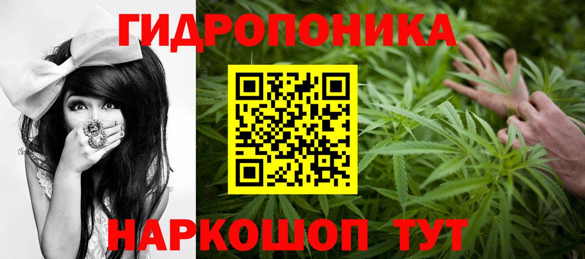 Бошки марихуана Amnesia  Вход с VPN  Великий Устюг  Марихуана AK-47  МАРИХУАНА конопля 
